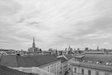 Wundervolle Dachgeschosswohnung mit Terrasse, 1010 Wien, Wohnung