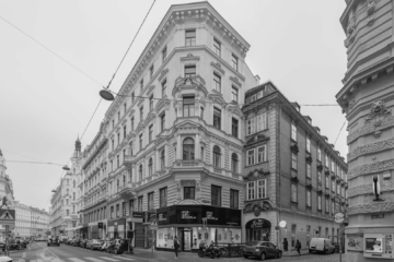 Helle freundliche Altbauwohnung, 1010 Wien,Innere Stadt, Wohnung